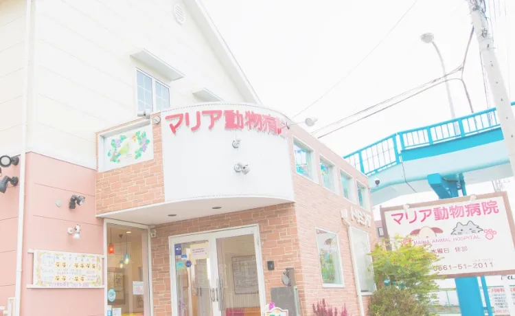 大切な家族の一員の健康を守ります