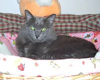 名前 キララ (♀)